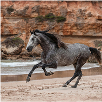 Example of image editing with conversational editor