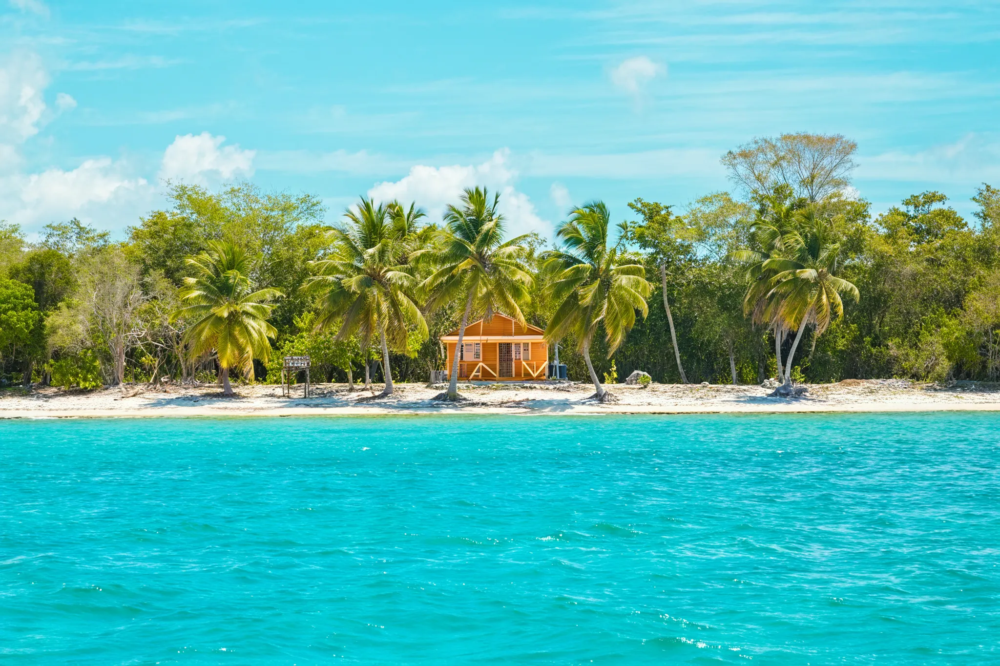 Beach landscape upscaled with the Standard model
